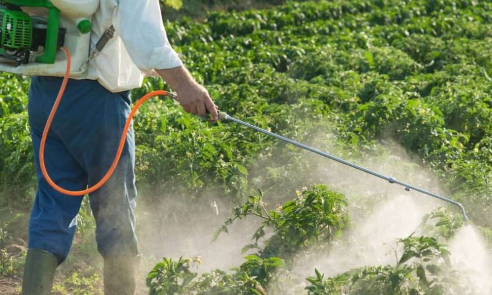 Agrochemicals and Pesticides