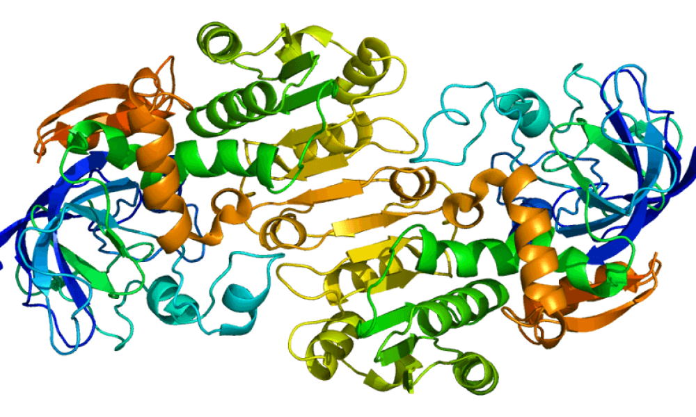 Alcohol Dehydrogenase Market