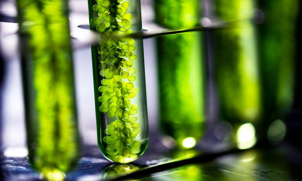 Algae-based Bioplastics Market