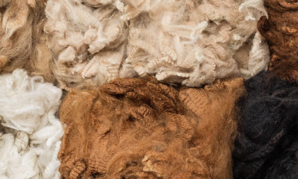 Alpaca Fiber Market