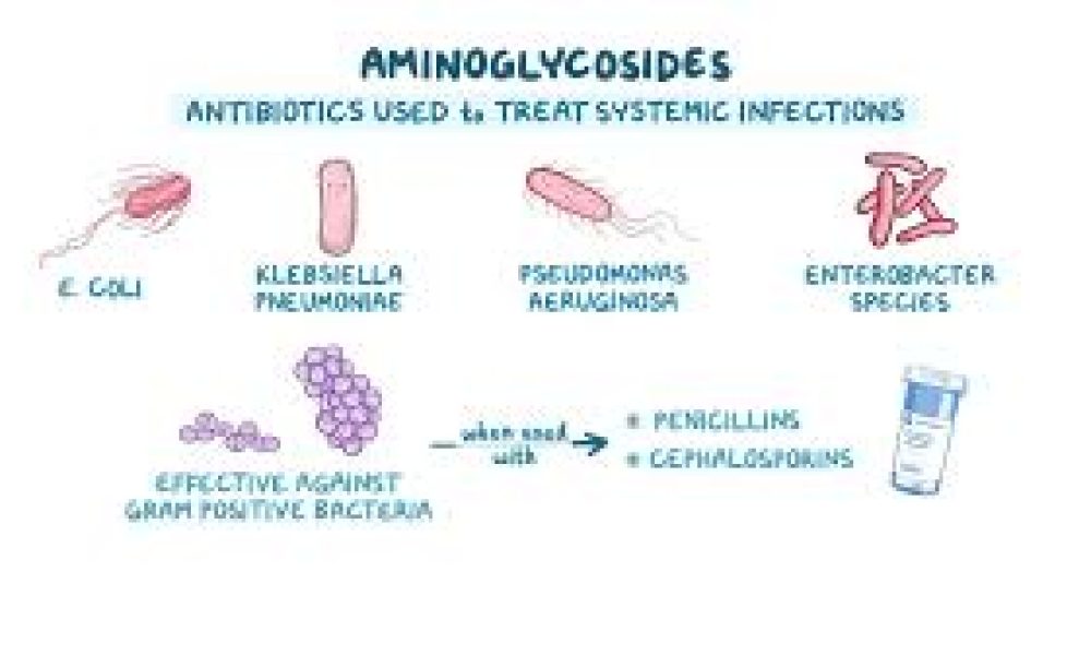 Aminoglycosides Market