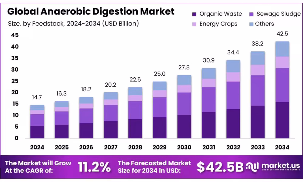 Anaerobic Digestion Market