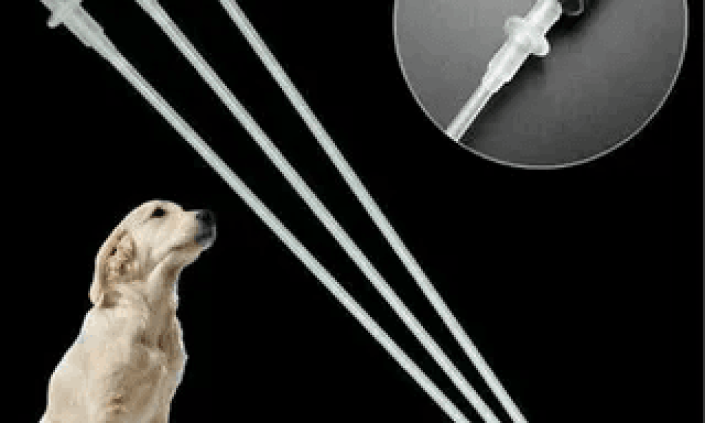 Animal Artificial Insemination Market