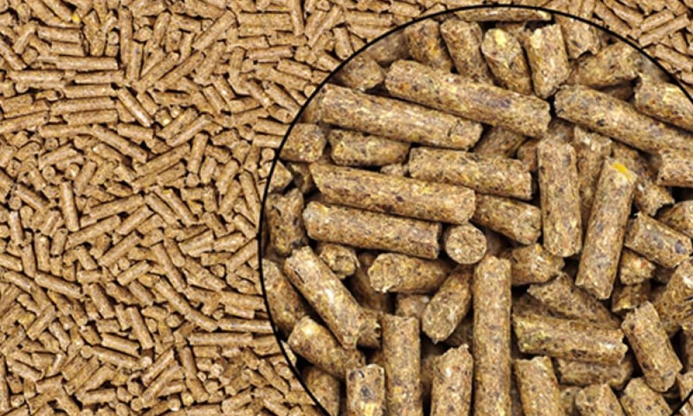 Animal Feed Enzymes Marketa