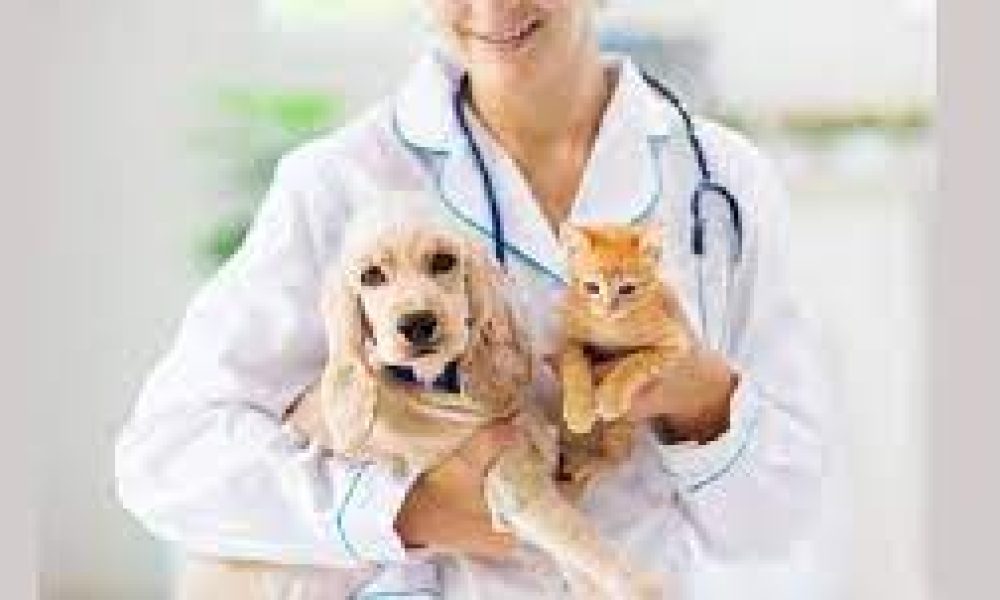 Animal Healthcare (Biologics) Market