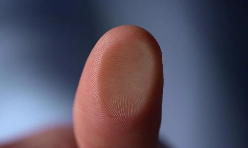Anti-Finger Printing Coating Market
