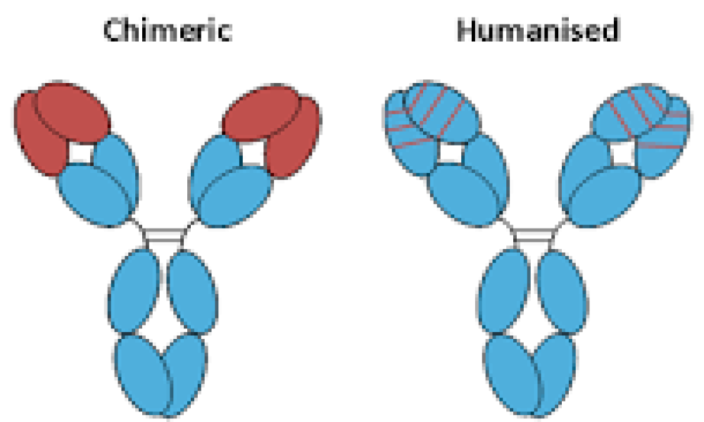 Antibody Humanization Overview & Growth Rate Forecast for Next 5 Years ...