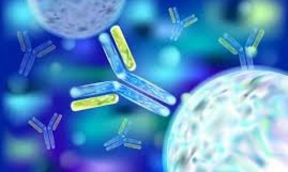 Antibody Services Market