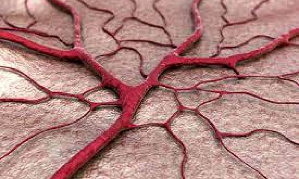 Artificial Blood Vessel Market