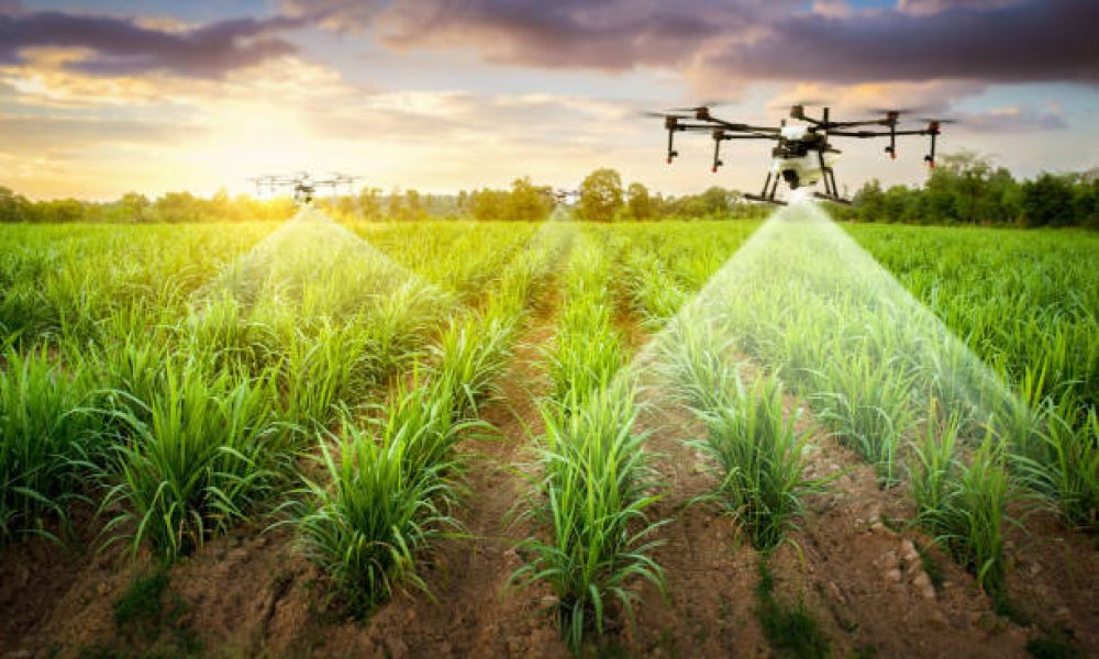 Attractive farmers bring a drone over farmland with soil moisture monitoring Yield problems and send information to smart farmers. High technology innovations to increase agricultural productivity.