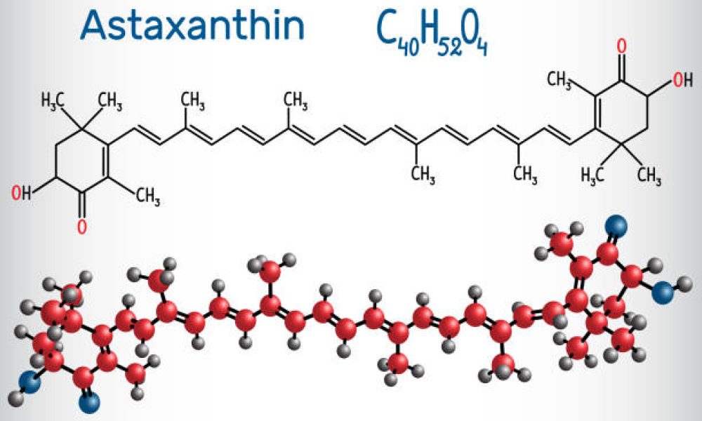 Astaxanthin is a keto-carotenoid. It belongs to class of chemical terpenes Structural chemical formula and molecule model. Vector illustration