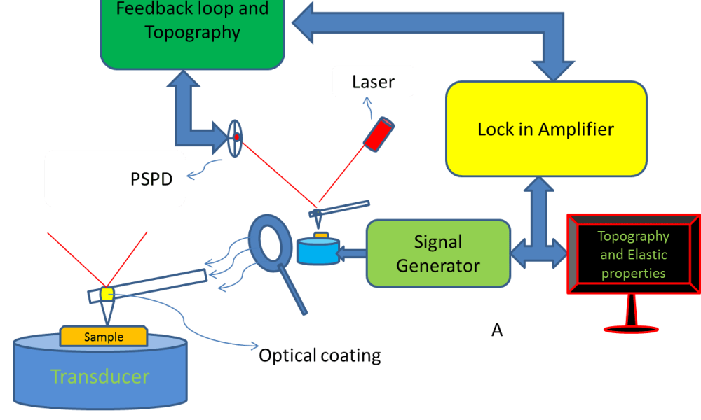 Atomic Force Acoustic Microscopy