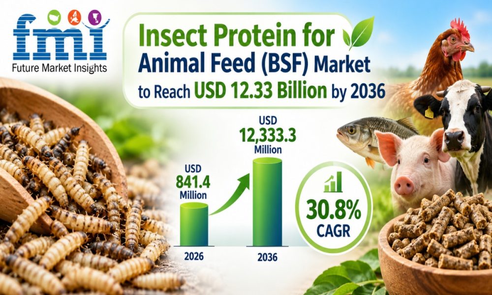 Insect Protein for Animal Feed (BSF) Market