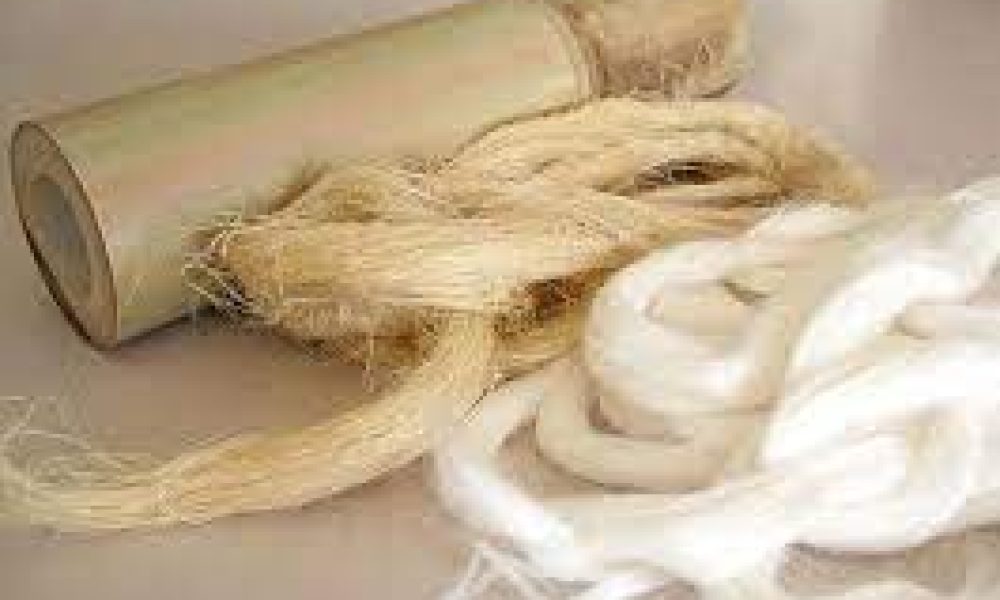 Bamboo Fibers Market