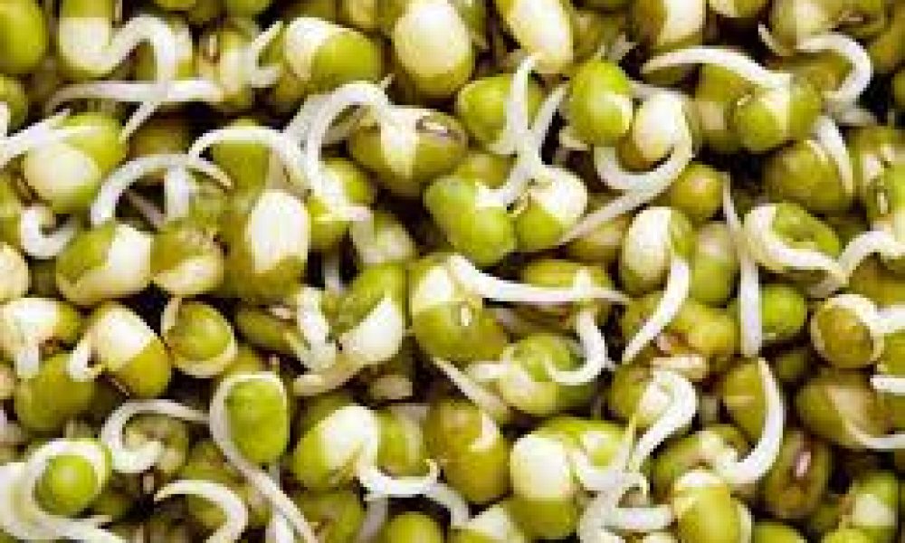 Bean Sprouts