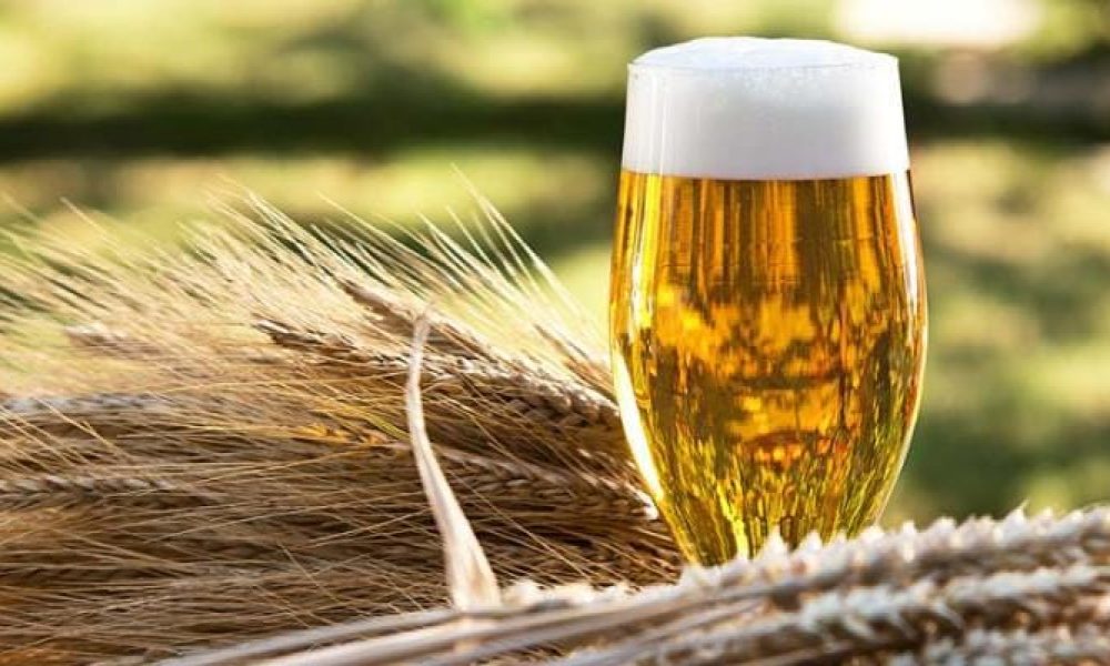 Beer Malt Market