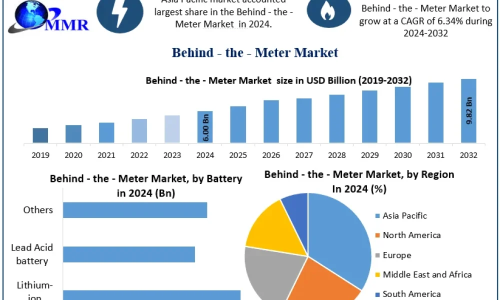 Behind-the-Meter-Market-Snapshot