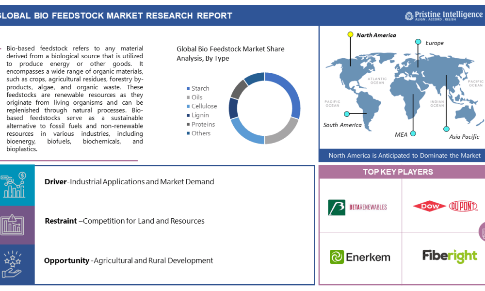 Global Bio Feedstocks Market Size Expected To Reach USD 25848 Million ...