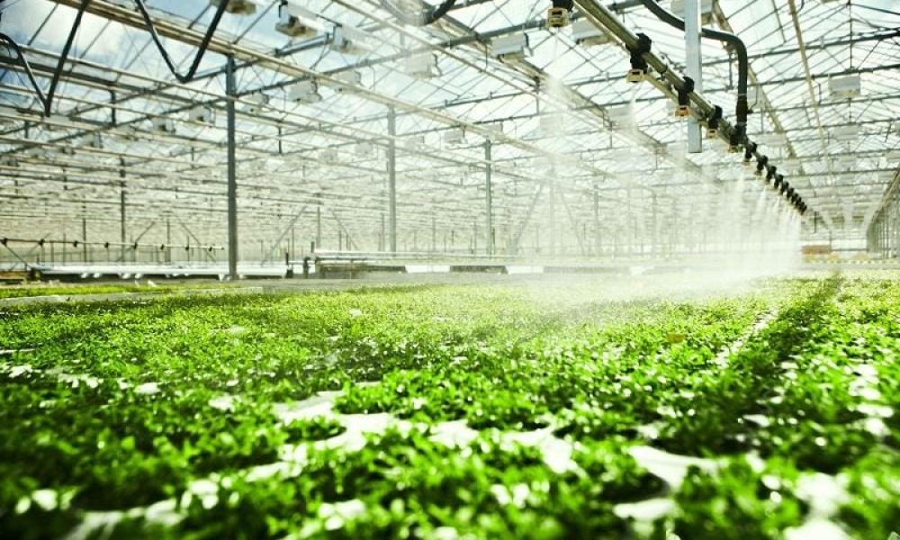 Bio Green Equipment market