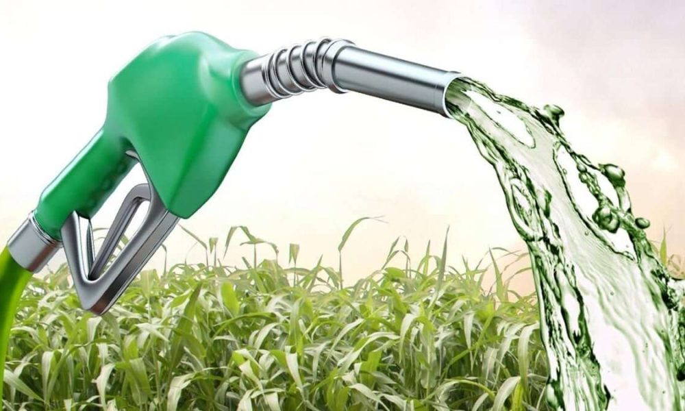 Bio Methanol Market
