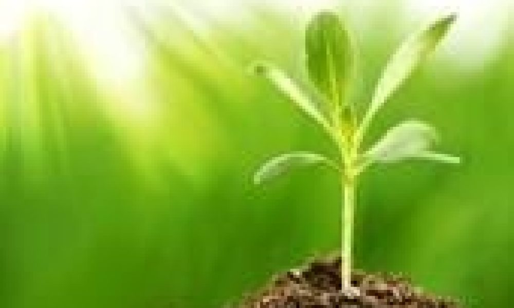 Bio Polymers Market size