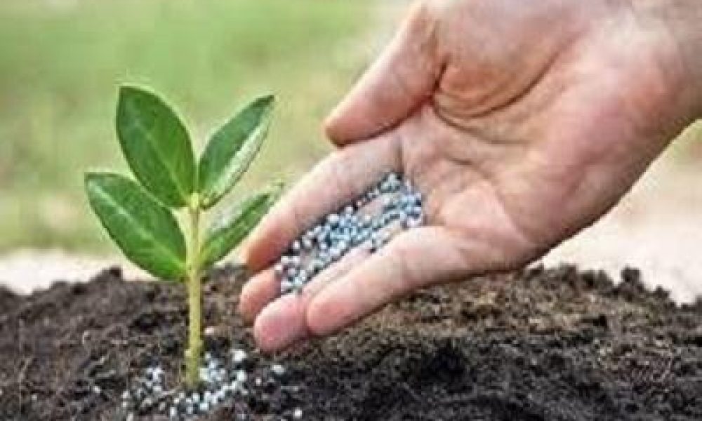 Bio-organic Fertilizer Market