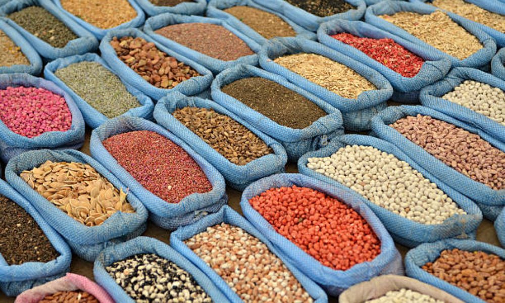 Bio-seeds Market Growth: Innovation-Driven Strategy Insights - Newstrail