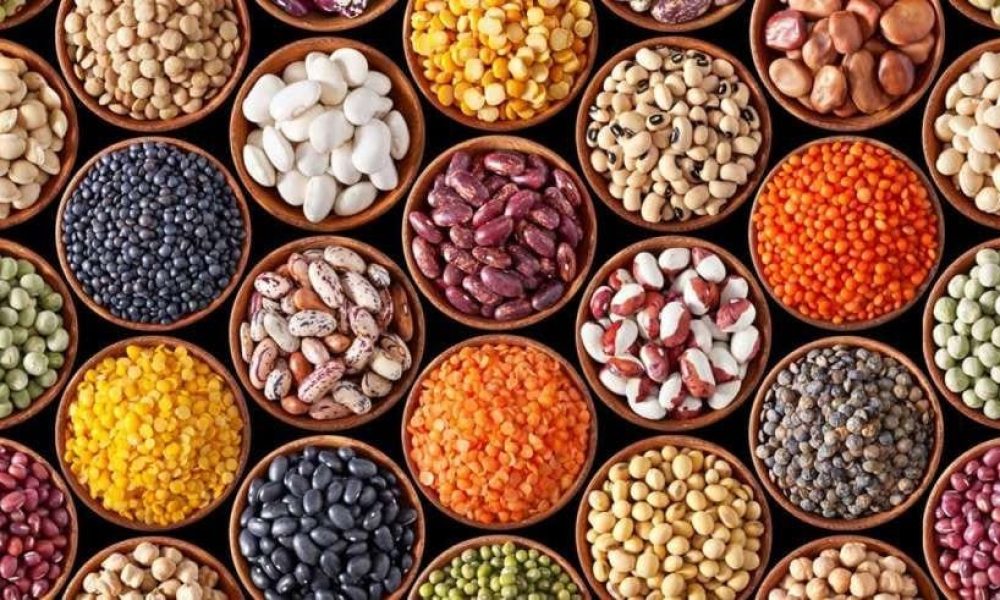 Bioactive Ingredient Market