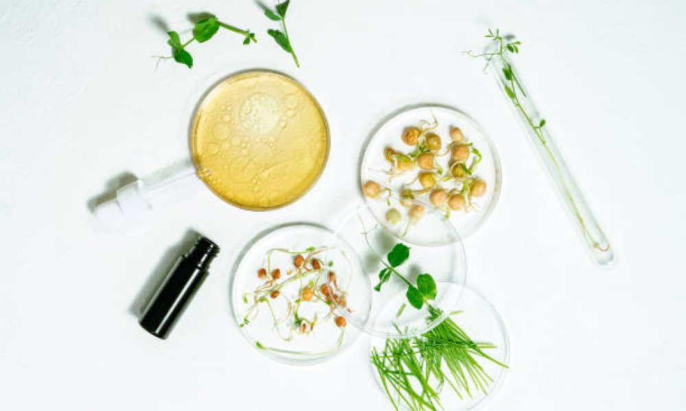 Bioactive Ingredients Market