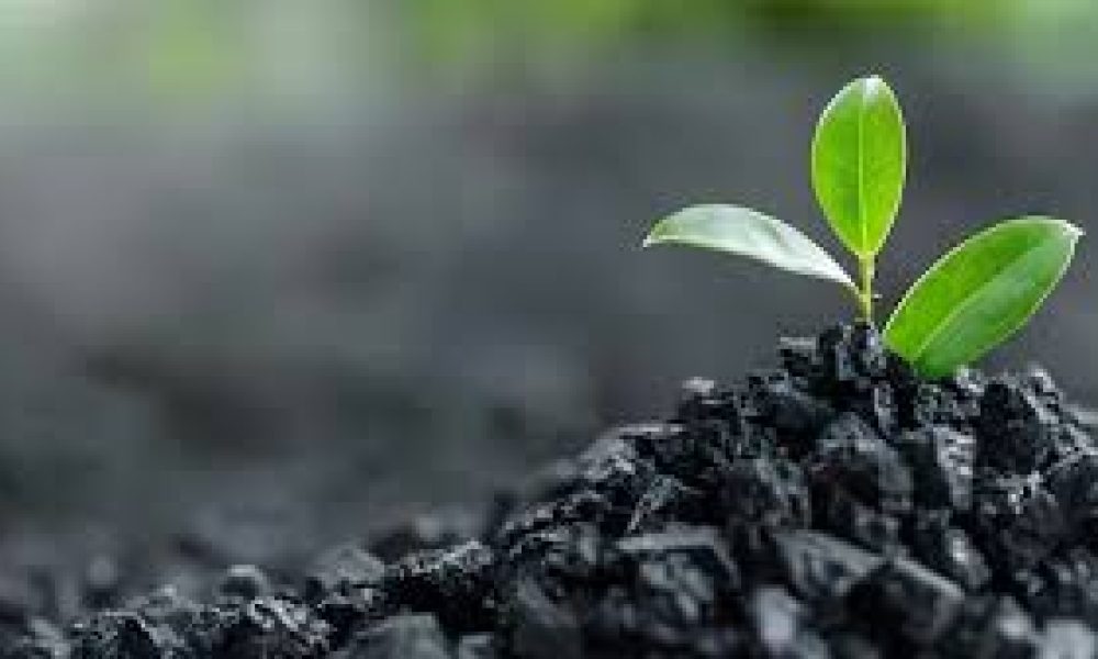 Biochar