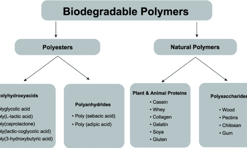 Biodegradable Polymers Set to Transform the Future with Projected ...