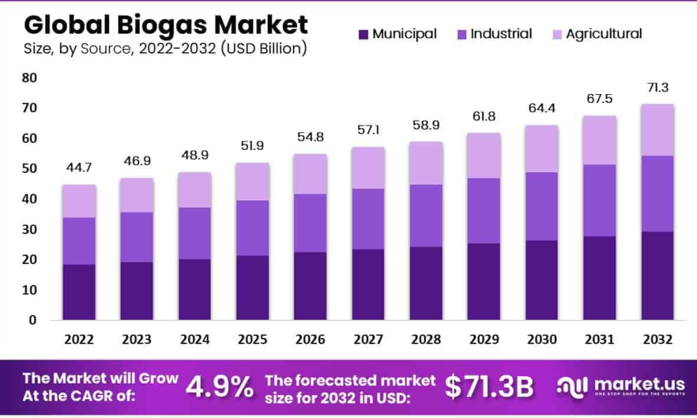 Biogas Market