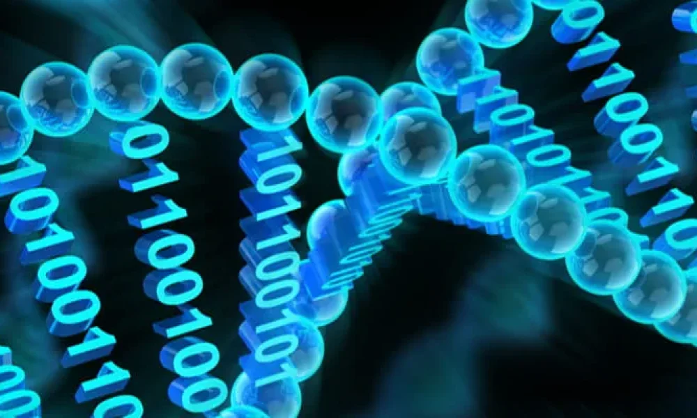Bioinformatics Market