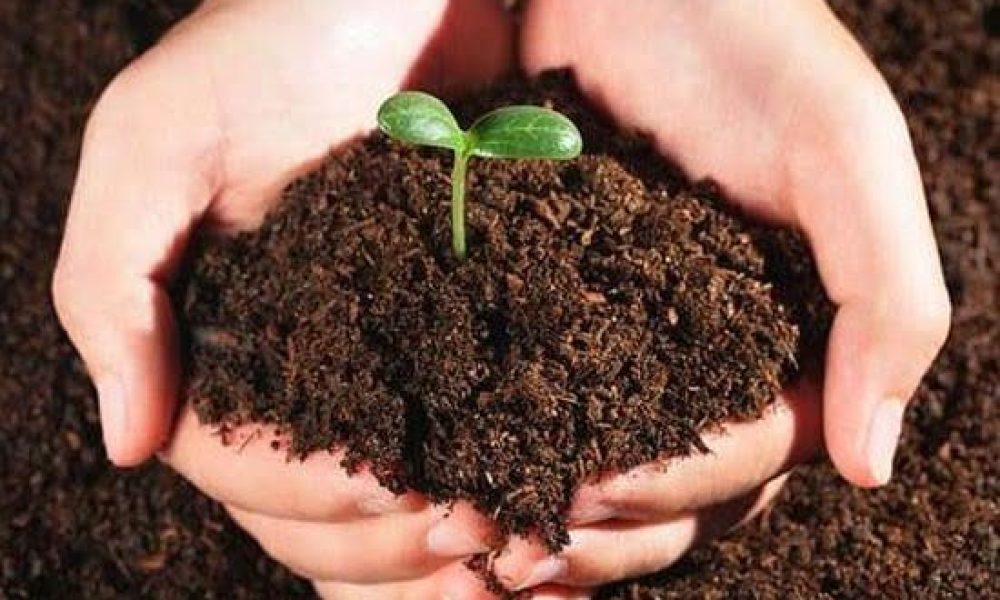 Biological Organic Fertilizers Market
