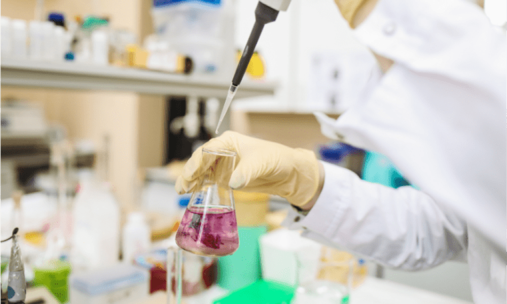 Biological Safety Testing Market