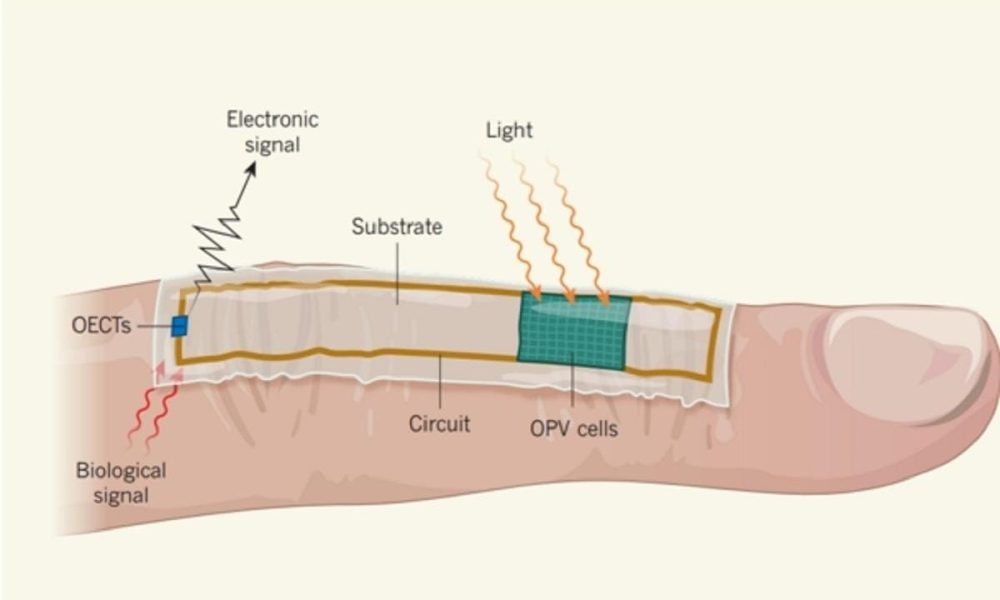 Biological Sensor