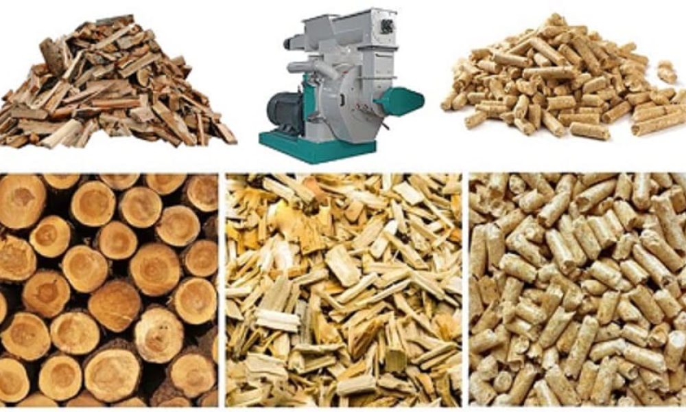 Biomass Pellets Market Shaping from Growth to Value: Drax Biomass ...
