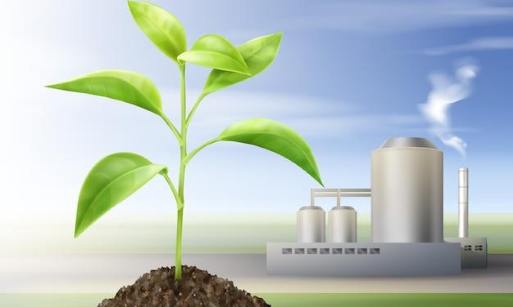 Biomass Recycling Market