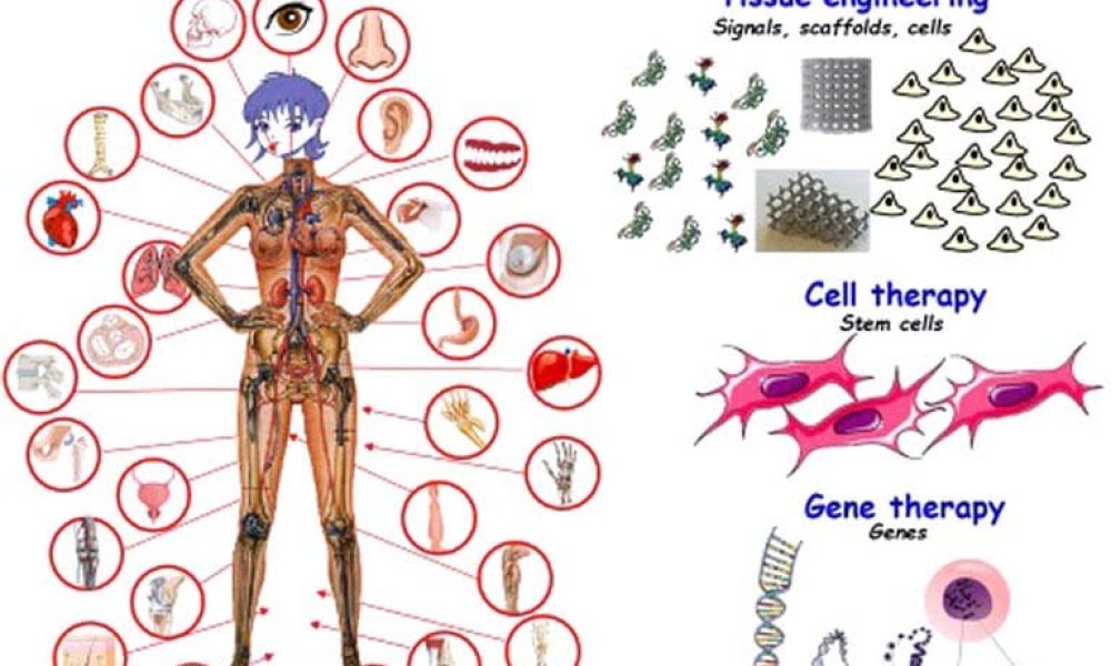 Biomaterials Market