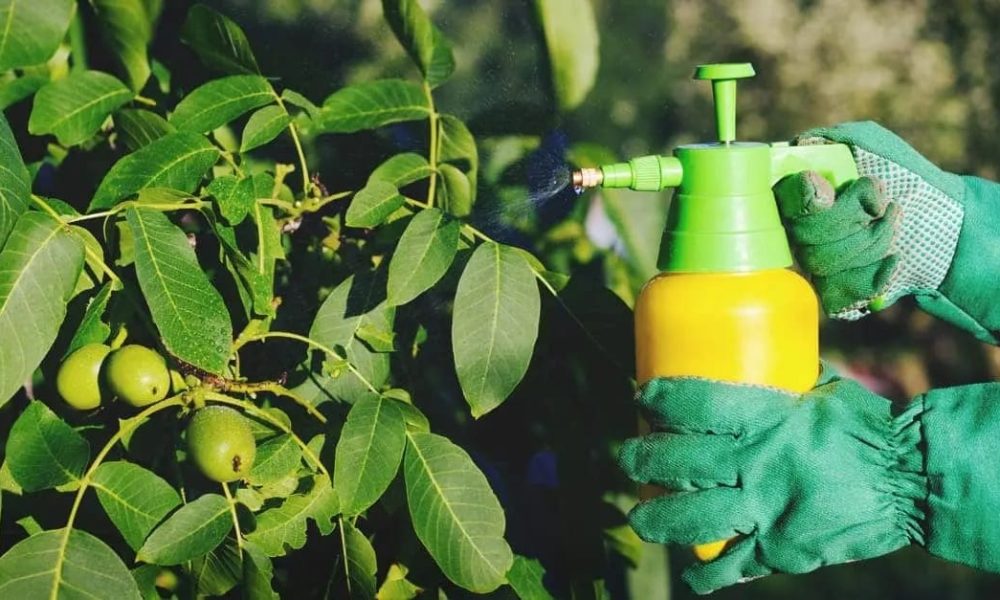 Biorational Pesticides Market