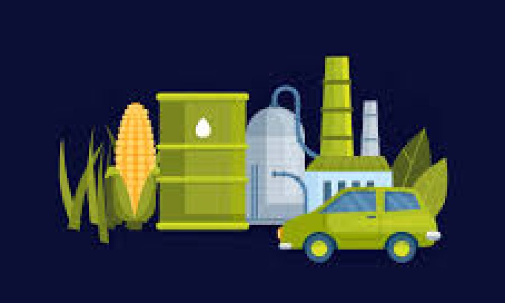Biorefinery Applications market