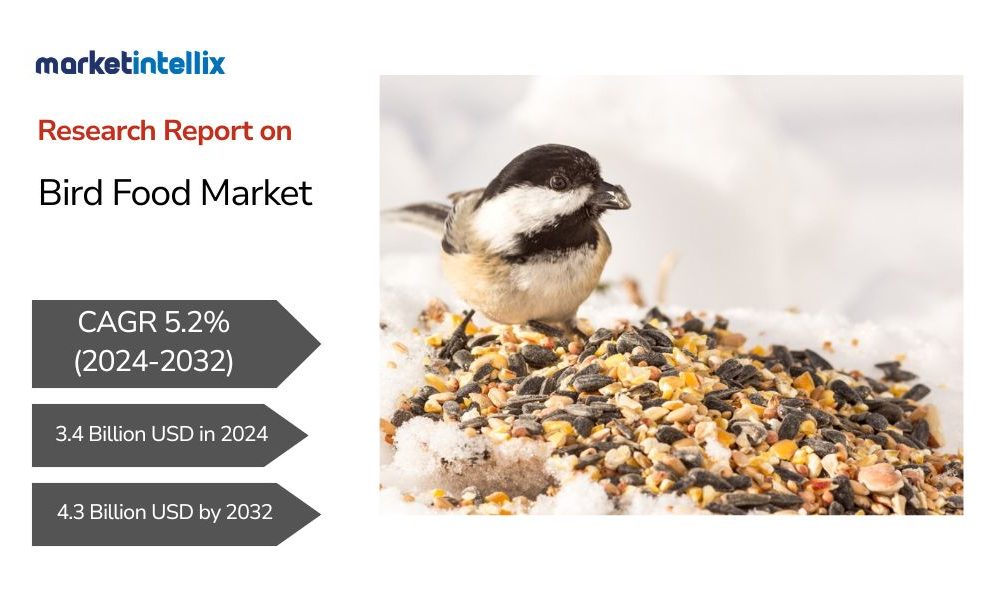 Bird Food Market