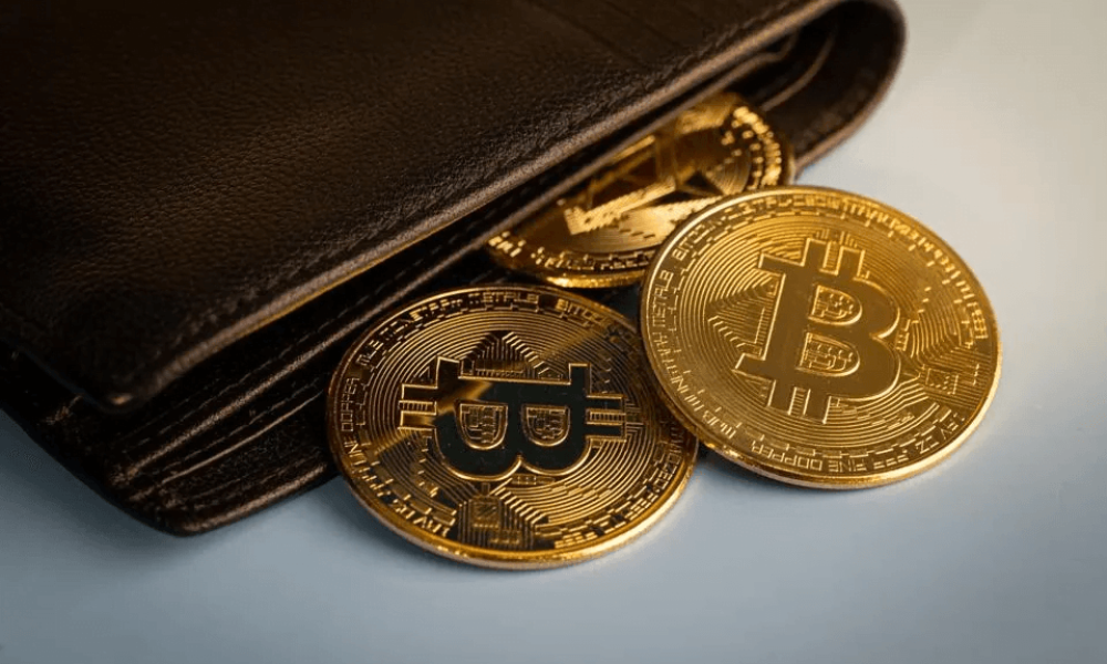Bitcoin & Cryptocurrency Wallets Market