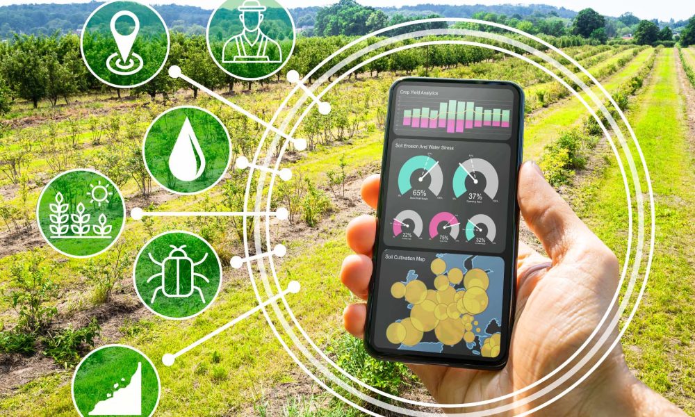 Blockchain In Agriculture And Food Supply Chain Market