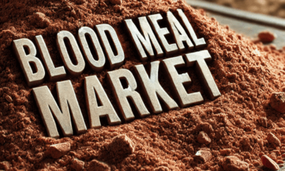 Blood Meal Market