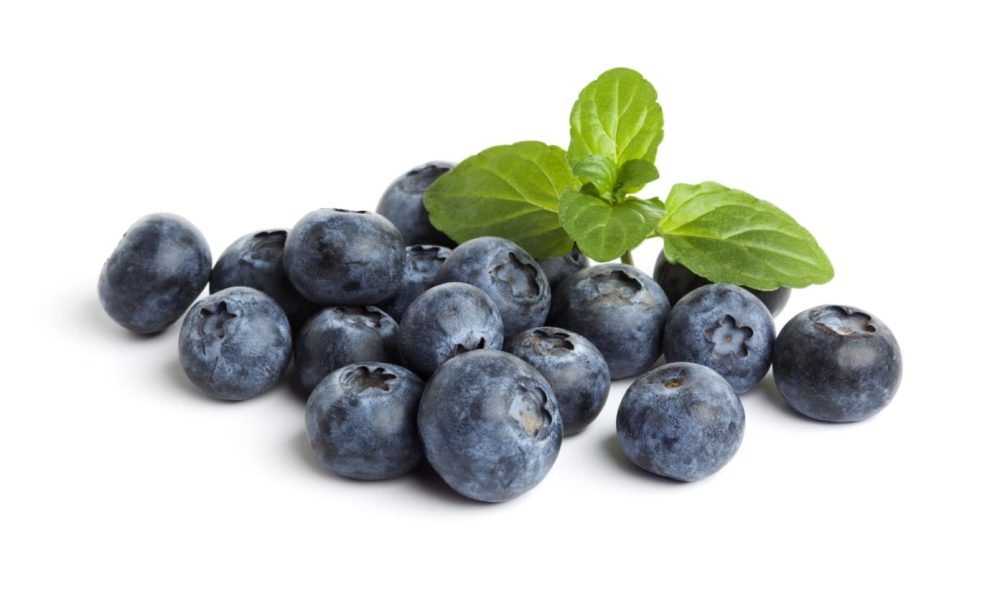 Blueberry Ingredient Market