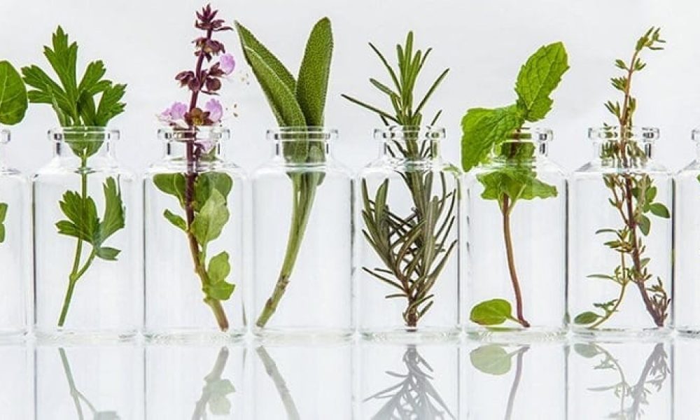 Botanical Extracts Market
