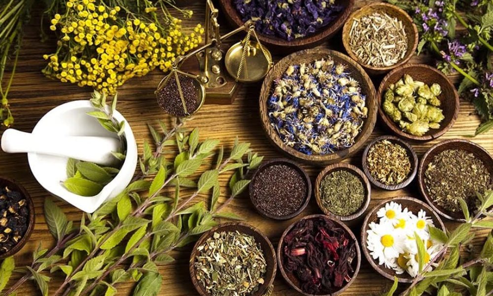 Botanical Extracts Market