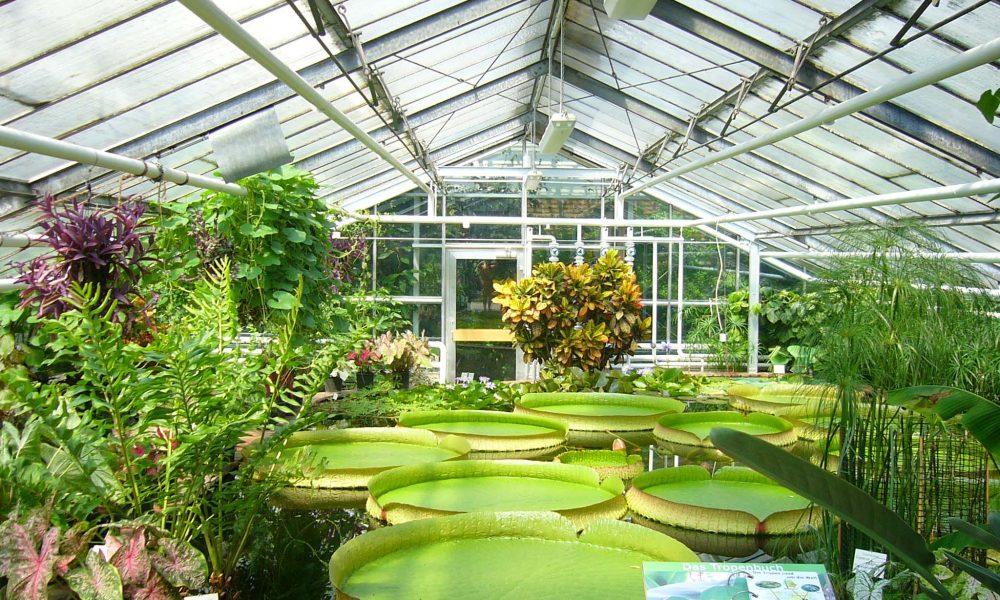 Greenhouses Market