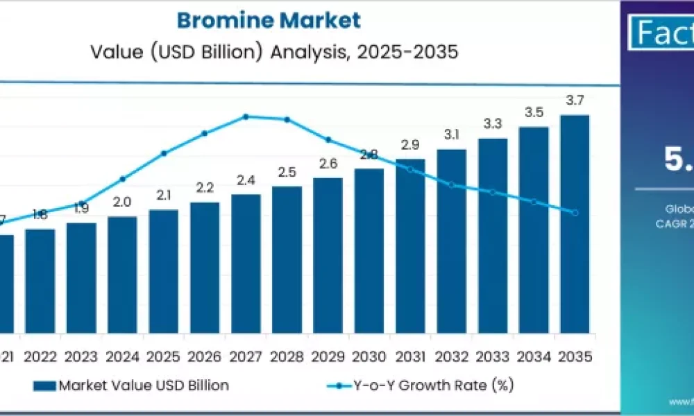 Bromine Market